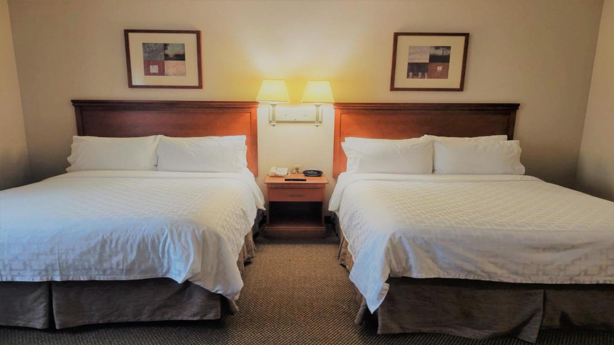 Candlewood Suites San Antonio Downtown By Ihg Eksteriør billede